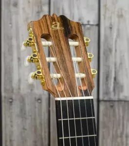 ویژگی و مشخصات گیتار آدمیرا f5